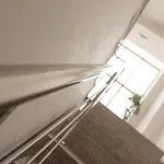 Plus Hotel كرايوفا