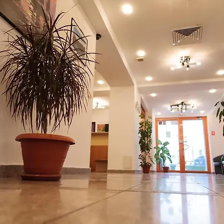 Plus Hotel ホテル クラヨーヴァ