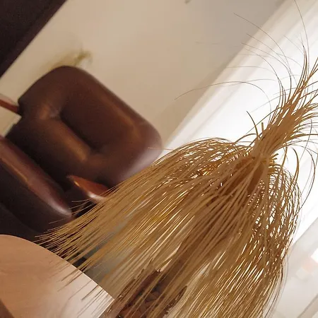 酒店 普拉斯酒店 克拉奥华